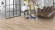 Parador Vinylboden Basic 2.0 Eiche Royal hell gekälkt 1-Stab Landhausdiele Parador Vinylboden Basic 2.0 Eiche Royal hell gekälkt 1-Stab Landhausdiele