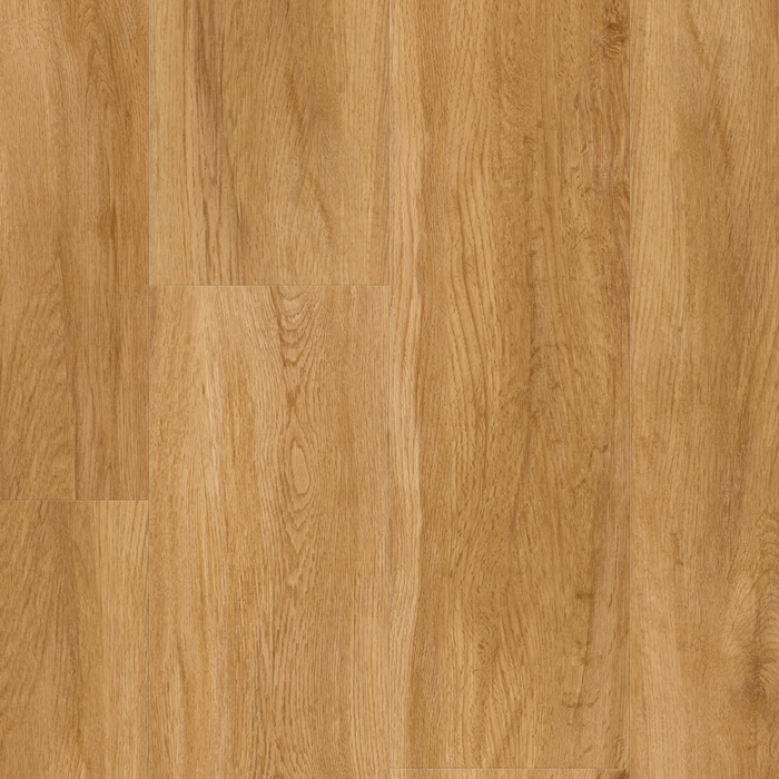 Suelo Vinilo de Parador Basic 2.0 Roble Sierra natural 1 lama main product photo