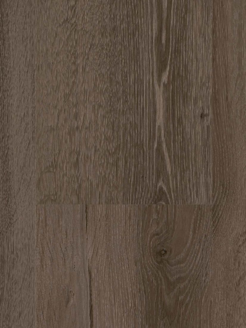 Parador Vinylboden Basic 20 Eiche Skyline grau 1-Stab Landhausdiele