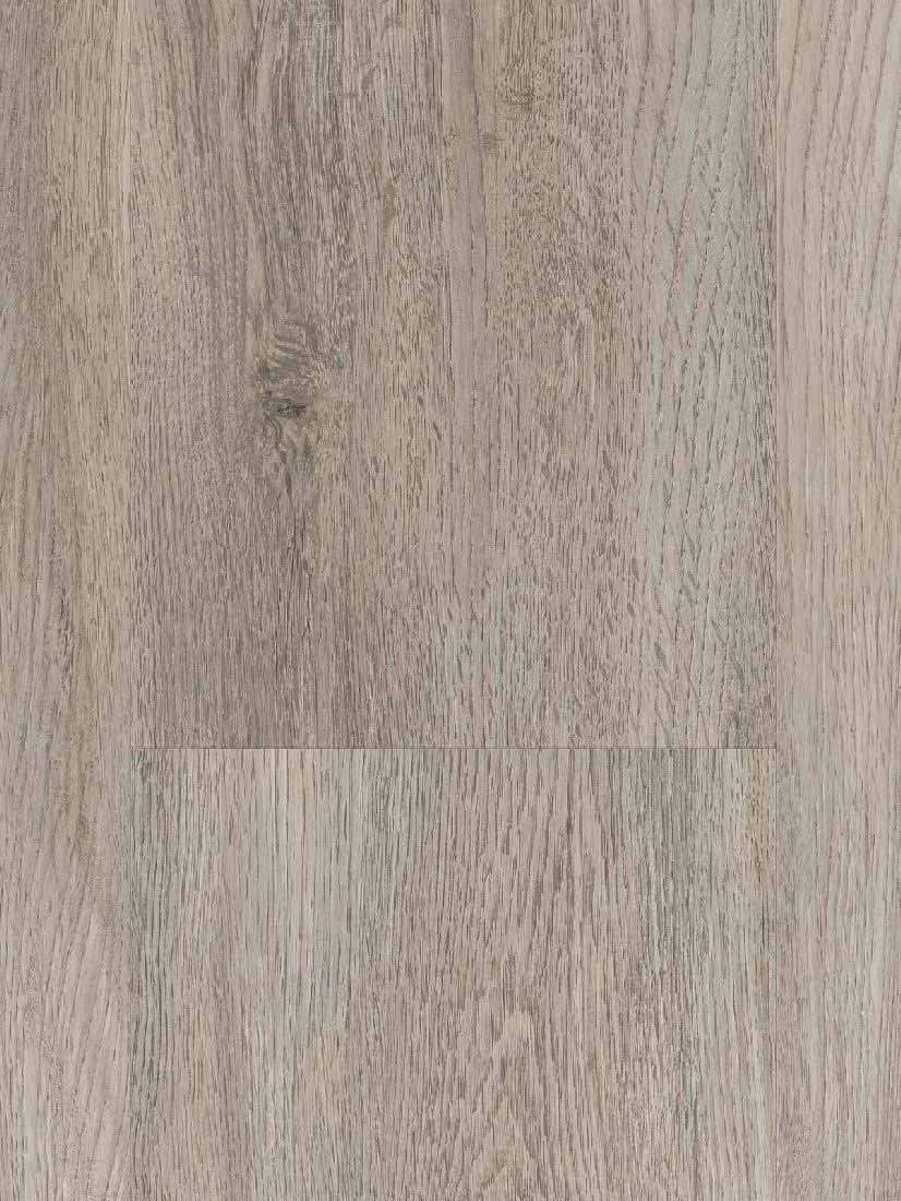 Suelo vinílico de Parador Basic 20 Roble gris pastel 1-lama