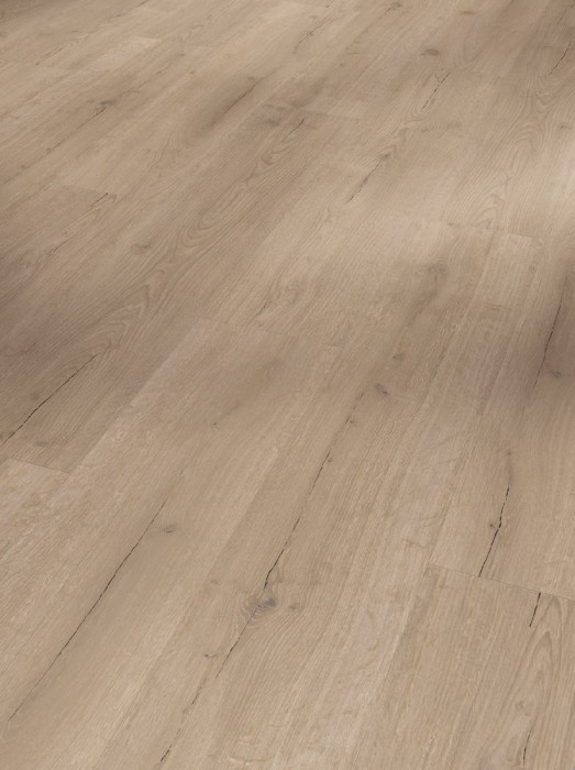 Parador Vinylboden Basic 30 Eiche Infinity grau 1-Stab Landhausdiele main product photo
