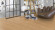 Parador Vinylboden Basic 30 Eiche Infinity natur 1-Stab Landhausdiele Parador Vinylboden Basic 30 Eiche Infinity natur 1-Stab Landhausdiele