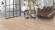 Parador Vinylboden Basic 30 Eiche Memory geschliffen 1-Stab Landhausdiele Parador Vinylboden Basic 30 Eiche Memory geschliffen 1-Stab Landhausdiele