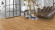 Parador Vinyl flooring Basic 30 Oak Sierra natural 1-strip Parador Vinyl flooring Basic 30 Oak Sierra natural 1-strip