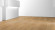Parador Vinyl flooring Basic 30 Oak natural 1-strip
