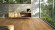 Parador Vinyl flooring Basic 4.3 Oak Memory natural 1-strip
