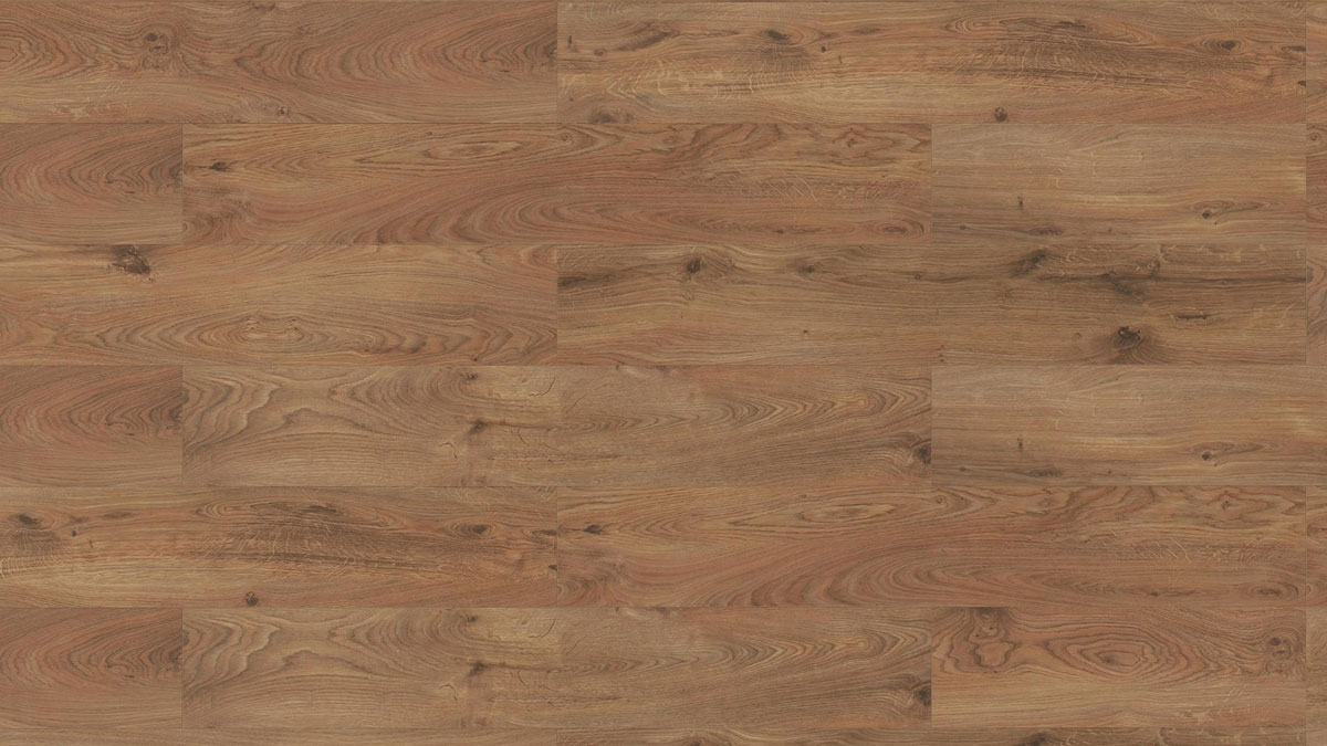 Classen Laminat Home 7 V Eiche Michigan 1-Stab Landhausdiele 4V zum klicken