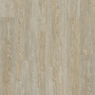 Tarkett Designboden Starfloor Click 55 Brushed Pine Grey Planke M4V